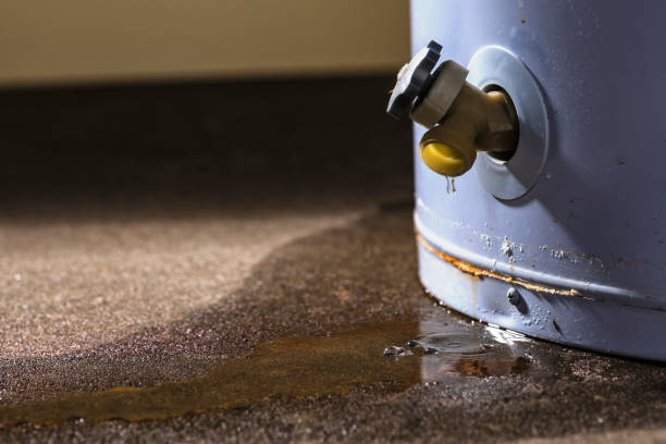 Best Fire Damage Restoration  in St Charles, MO