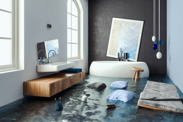 Best Water damage restoration near me  in St Charles, MO
