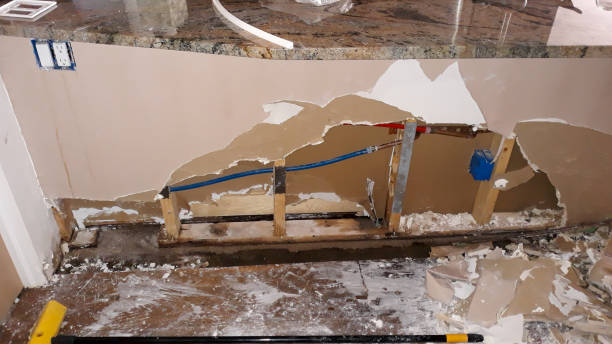 Best Flood damage cleanup  in St Charles, MO