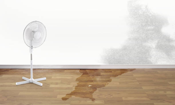 Best Ceiling water damage repair  in St Charles, MO
