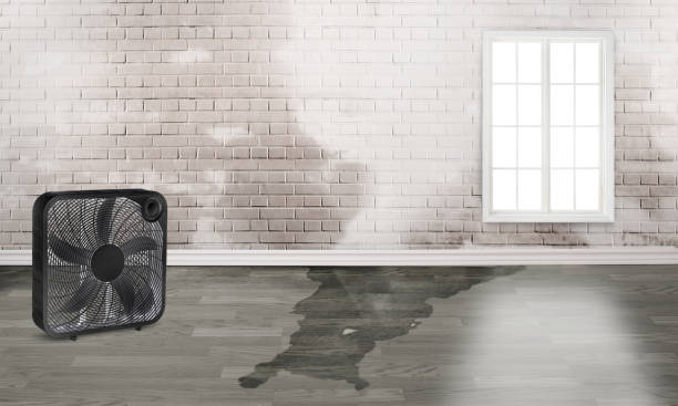 Reliable St Charles, MO Water damage restoration Solutions