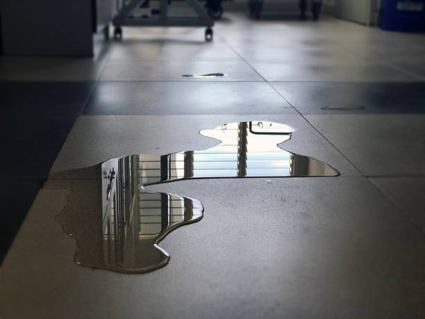 Best Carpet water damage restoration  in St Charles, MO