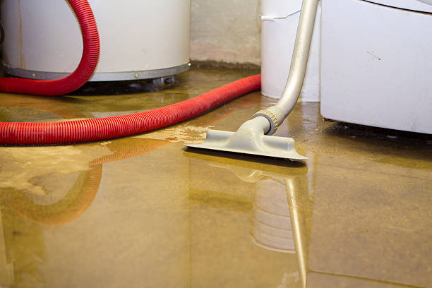 Best Fire Damage Restoration  in St Charles, MO