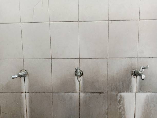 Best Local water damage restoration  in St Charles, MO