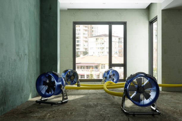 Best Basement water damage restoration  in St Charles, MO