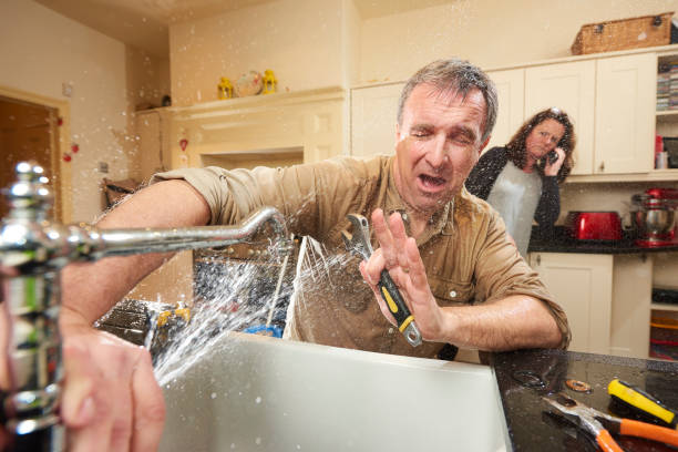 Best Professional water damage repair  in St Charles, MO